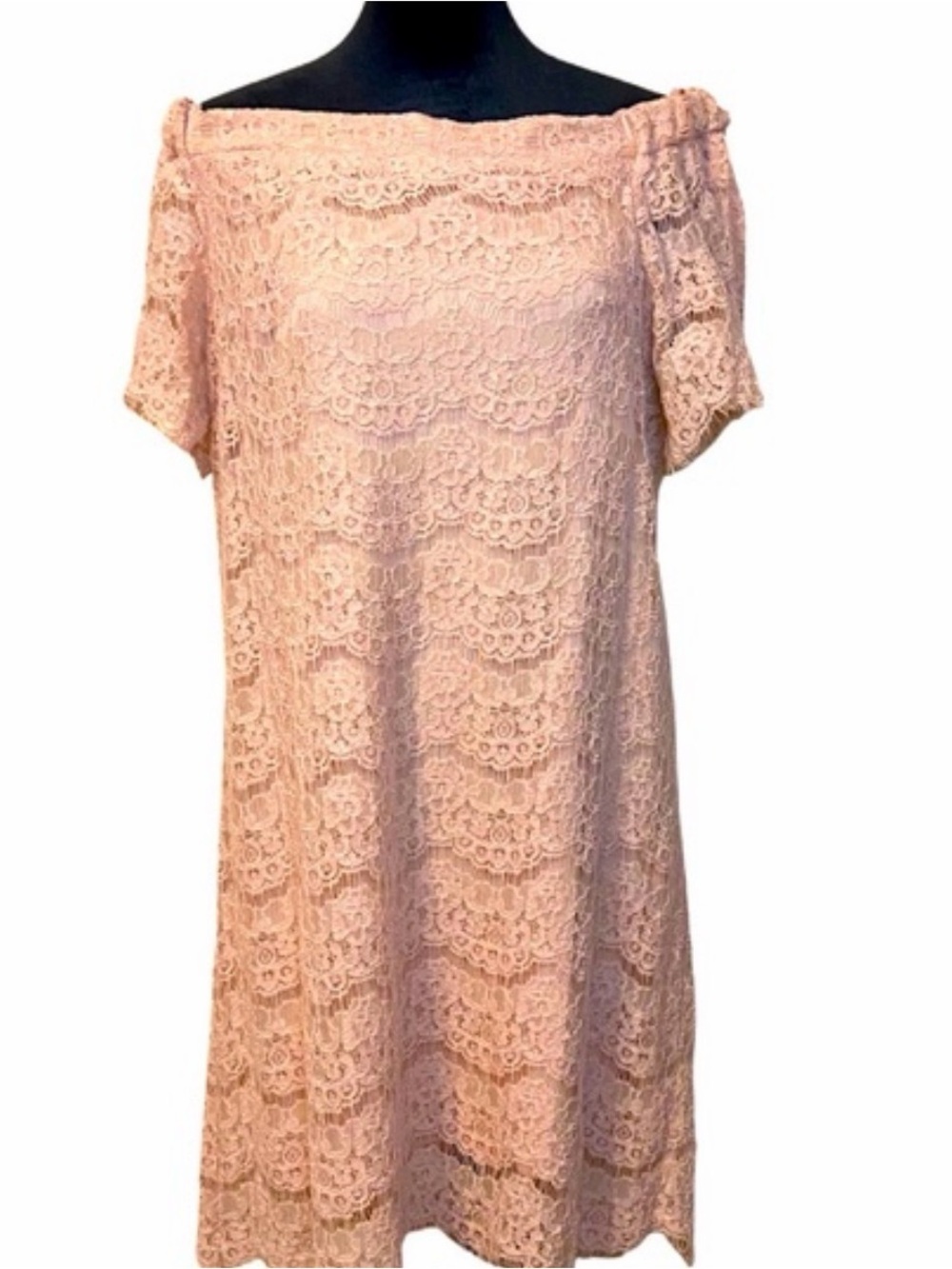 Off-the-Shoulder Lace Mini Dress in Light Pink - Picture 2 of 6